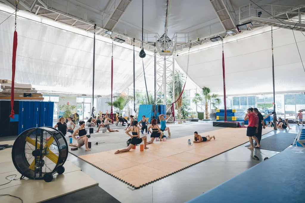 El Invernadero hoy: una clase en marcha bajo las telas aéreas, con tatami, palmeras y la fachada de cristal al fondo.